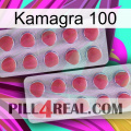 Kamagra 100 19